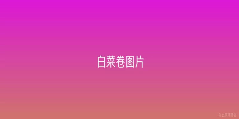 白菜卷图片