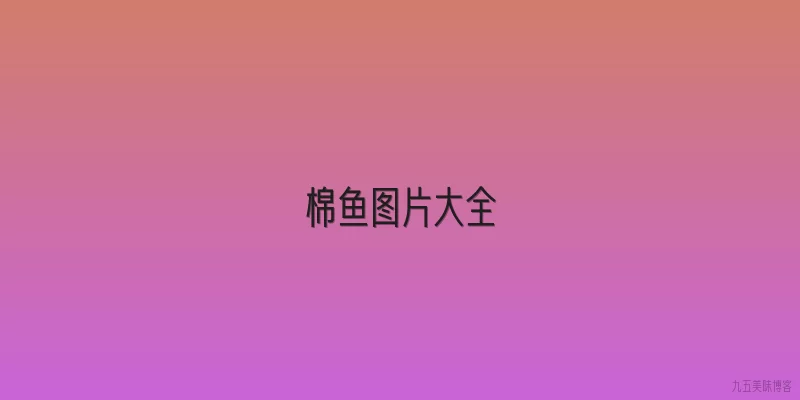 棉鱼图片大全