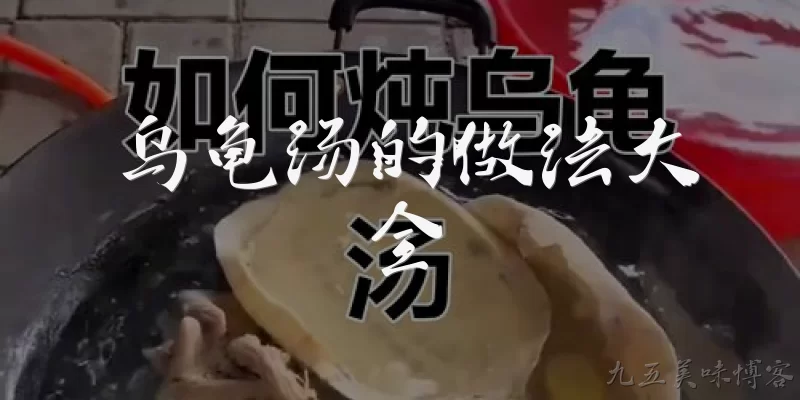 乌龟汤的做法大全:乌龟汤的做法大全中，最经典的清炖乌龟汤怎么做？