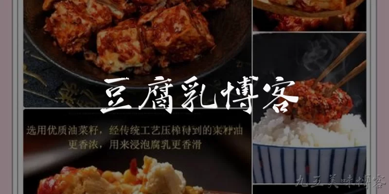 豆腐乳博客:豆腐乳博客是什么？