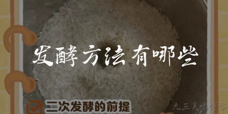 发酵方法有哪些:发酵方法有哪些主要类型？