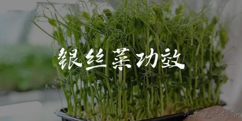 银丝菜功效:2026年最新研究：银丝菜有哪些核心功效？ - 2026最新功效问答知识盘点大全