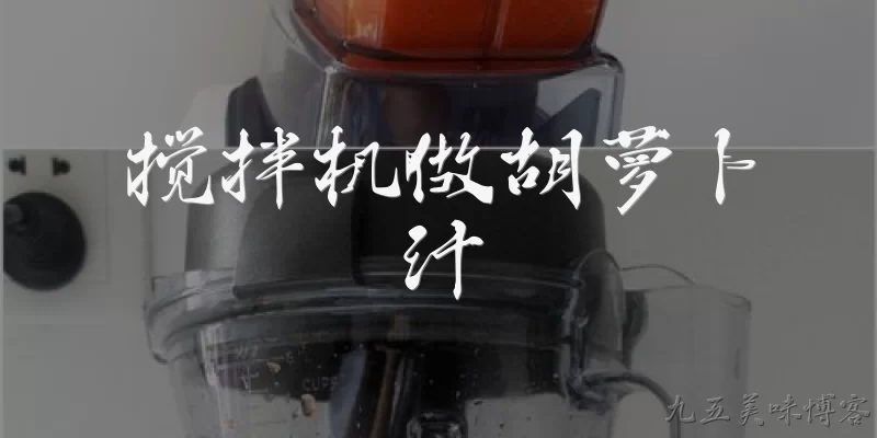 搅拌机做胡萝卜汁:2026年用搅拌机做胡萝卜汁，哪种方法能最大程度保留营养？ - 2026最新胡萝卜问答知识盘点大全