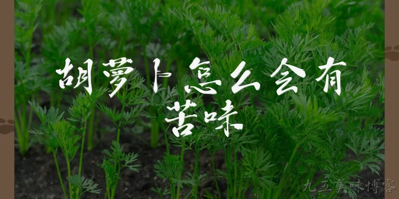 胡萝卜怎么会有苦味:胡萝卜为什么会有苦味？