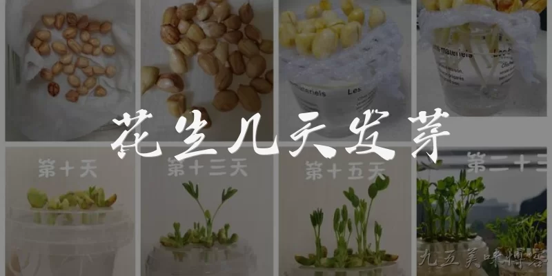花生几天发芽:花生种下去后一般几天能发芽？