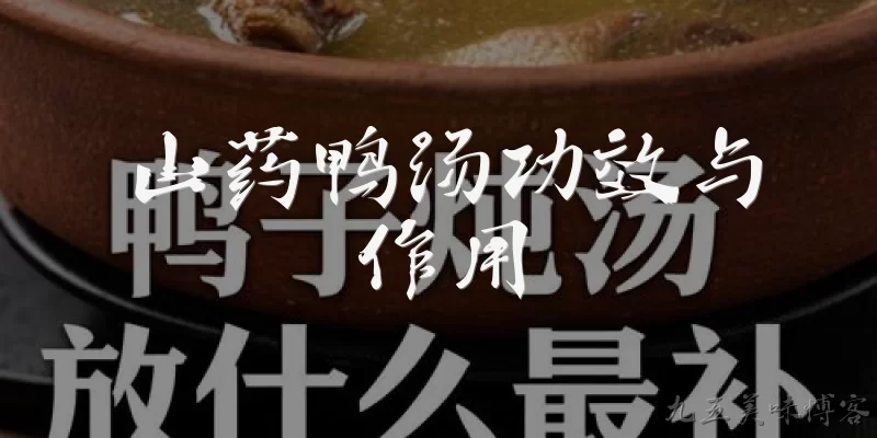 山药鸭汤功效与作用:山药鸭汤有什么主要的滋补功效?