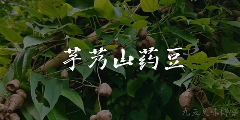 芋艿山药豆:芋艿、山药和豆类可以一起搭配食用吗？
