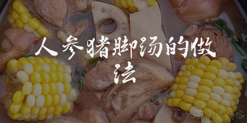 人参猪脚汤的做法:人参猪脚汤的主要食材和配料有哪些？ - 2026最新汤的做法问答知识盘点大全