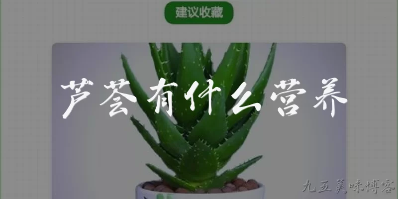 芦荟有什么营养:芦荟主要含有哪些营养成分？ - 2026最新营养问答知识盘点大全